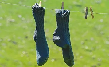 info-355-220 info-355-220